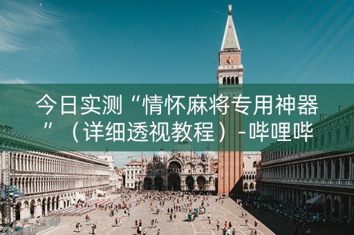 今日实测“情怀麻将专用神器”（详细透视教程）-哔哩哔哩