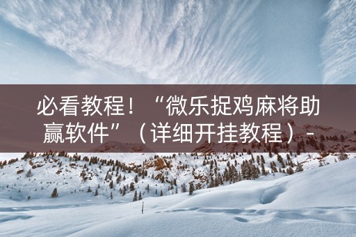 必看教程！“微乐捉鸡麻将助赢软件”（详细开挂教程）-哔哩哔哩