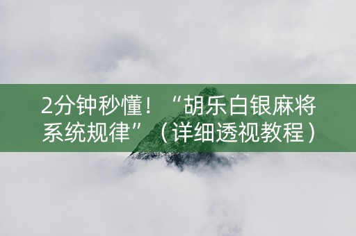 2分钟秒懂！“胡乐白银麻将系统规律”（详细透视教程）-哔哩哔哩