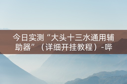 今日实测“大头十三水通用辅助器”（详细开挂教程）-哔哩哔哩