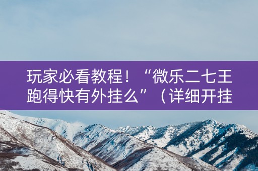 玩家必看教程！“微乐二七王跑得快有外挂么”（详细开挂教程）-哔哩哔哩