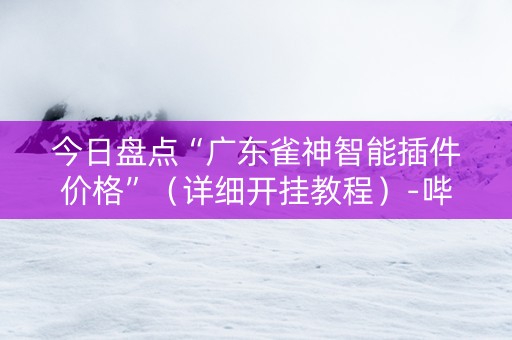 今日盘点“广东雀神智能插件价格”（详细开挂教程）-哔哩哔哩