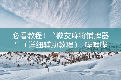 必看教程！“微友麻将铺牌器”（详细辅助教程）-哔哩哔哩