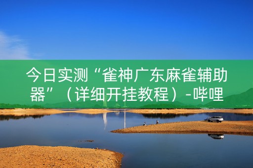 今日实测“雀神广东麻雀辅助器”（详细开挂教程）-哔哩哔哩