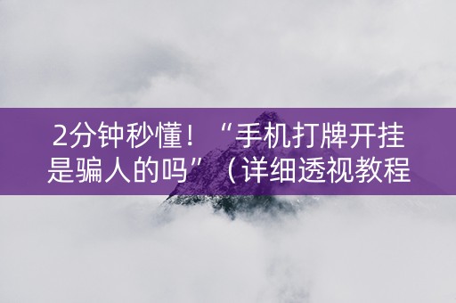 2分钟秒懂！“手机打牌开挂是骗人的吗”（详细透视教程）-哔哩哔哩