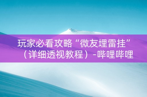 玩家必看攻略“微友埋雷挂”（详细透视教程）-哔哩哔哩