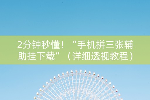 2分钟秒懂！“手机拼三张辅助挂下载”（详细透视教程）-哔哩哔哩