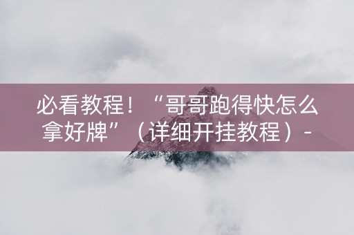 必看教程！“哥哥跑得快怎么拿好牌”（详细开挂教程）-哔哩哔哩
