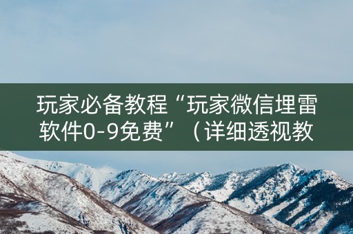 玩家必备教程“玩家微信埋雷软件0-9免费”（详细透视教程）-哔哩哔哩