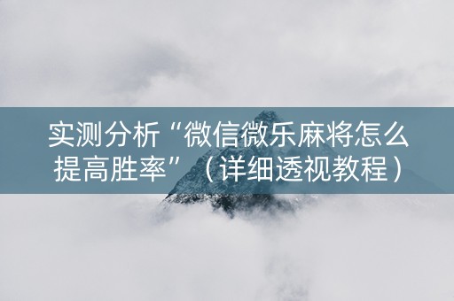 实测分析“微信微乐麻将怎么提高胜率”（详细透视教程）-哔哩哔哩