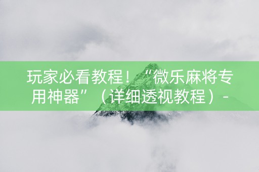 玩家必看教程！“微乐麻将专用神器”（详细透视教程）-哔哩哔哩
