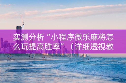 实测分析“小程序微乐麻将怎么玩提高胜率”（详细透视教程）-哔哩哔哩