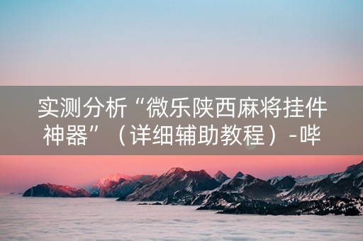 实测分析“微乐陕西麻将挂件神器”（详细辅助教程）-哔哩哔哩