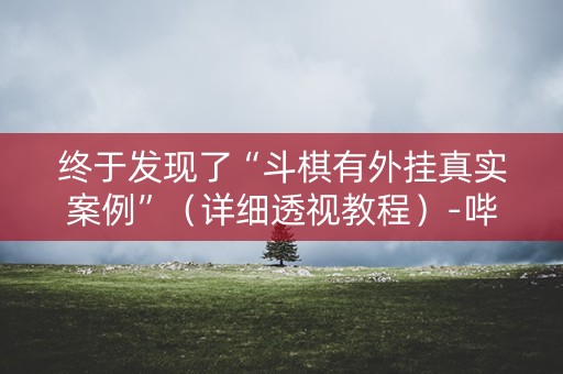 终于发现了“斗棋有外挂真实案例”（详细透视教程）-哔哩哔哩