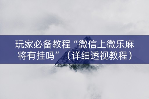 玩家必备教程“微信上微乐麻将有挂吗”（详细透视教程）-哔哩哔哩