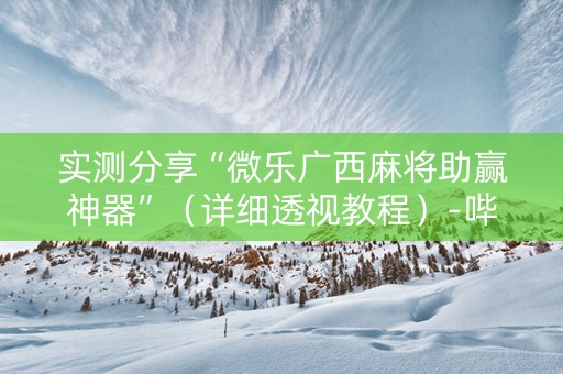 实测分享“微乐广西麻将助赢神器”（详细透视教程）-哔哩哔哩