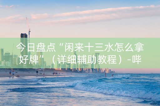今日盘点“闲来十三水怎么拿好牌”（详细辅助教程）-哔哩哔哩