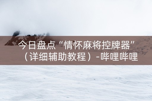 今日盘点“情怀麻将控牌器”（详细辅助教程）-哔哩哔哩
