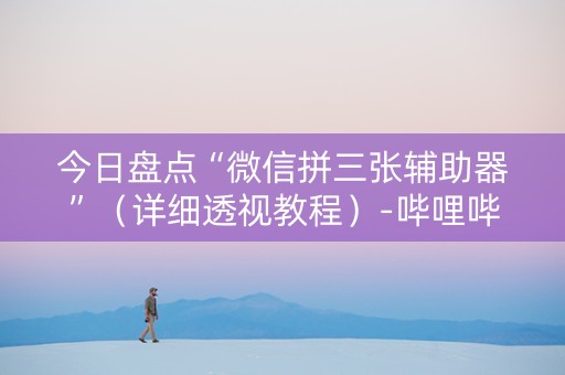 今日盘点“微信拼三张辅助器”（详细透视教程）-哔哩哔哩