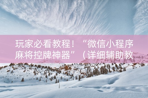 玩家必看教程！“微信小程序麻将控牌神器”（详细辅助教程）-哔哩哔哩