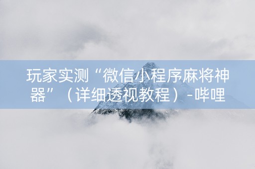 玩家实测“微信小程序麻将神器”（详细透视教程）-哔哩哔哩