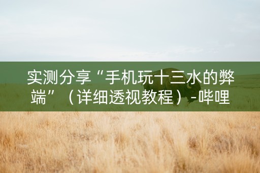 实测分享“手机玩十三水的弊端”（详细透视教程）-哔哩哔哩