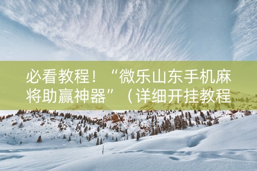 必看教程！“微乐山东手机麻将助赢神器”（详细开挂教程）-哔哩哔哩