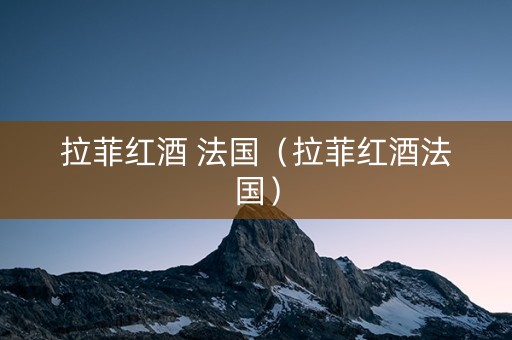 拉菲红酒 法国（拉菲红酒法国）