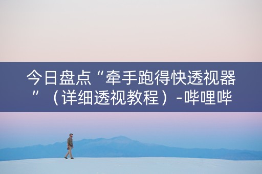 今日盘点“牵手跑得快透视器”（详细透视教程）-哔哩哔哩