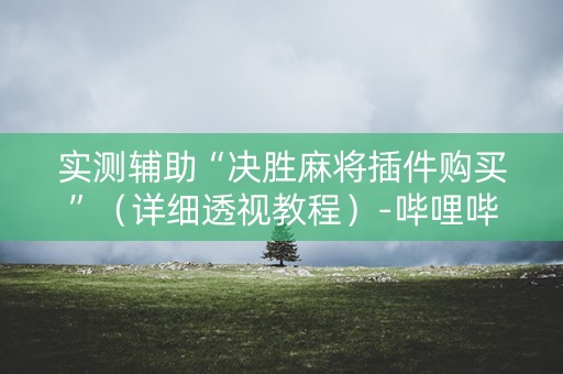 实测辅助“决胜麻将插件购买”（详细透视教程）-哔哩哔哩