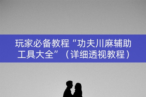 玩家必备教程“功夫川麻辅助工具大全”（详细透视教程）-哔哩哔哩