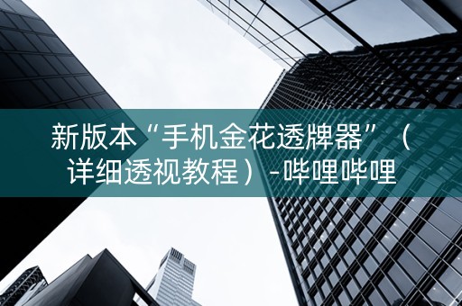 新版本“手机金花透牌器”（详细透视教程）-哔哩哔哩