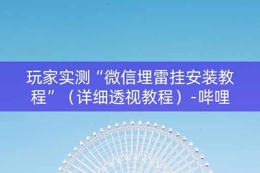 玩家实测“微信埋雷挂安装教程”（详细透视教程）-哔哩哔哩