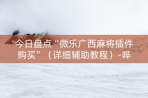 今日盘点“微乐广西麻将插件购买”（详细辅助教程）-哔哩哔哩