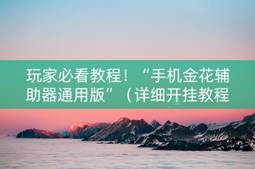 玩家必看教程！“手机金花辅助器通用版”（详细开挂教程）-哔哩哔哩