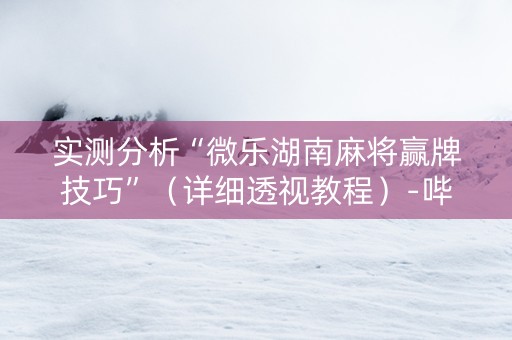 实测分析“微乐湖南麻将赢牌技巧”（详细透视教程）-哔哩哔哩