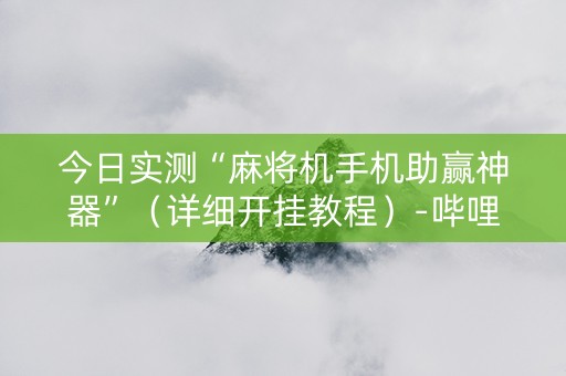 今日实测“麻将机手机助赢神器”（详细开挂教程）-哔哩哔哩
