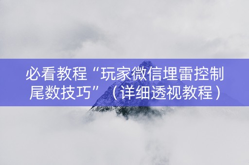 必看教程“玩家微信埋雷控制尾数技巧”（详细透视教程）-哔哩哔哩
