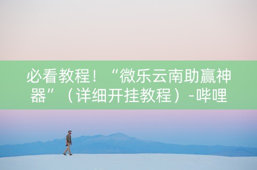 必看教程！“微乐云南助赢神器”（详细开挂教程）-哔哩哔哩