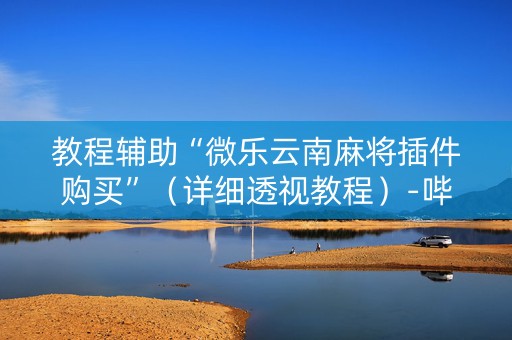 教程辅助“微乐云南麻将插件购买”（详细透视教程）-哔哩哔哩