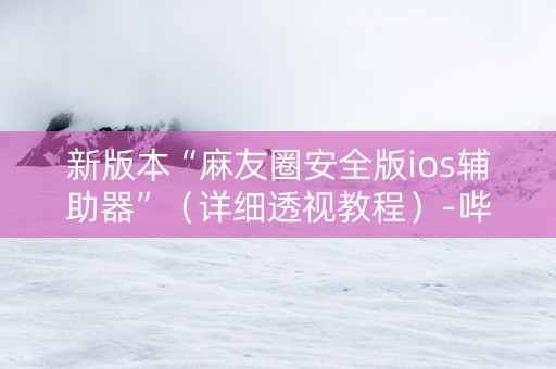 新版本“麻友圈安全版ios辅助器”（详细透视教程）-哔哩哔哩