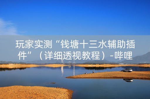 玩家实测“钱塘十三水辅助插件”（详细透视教程）-哔哩哔哩