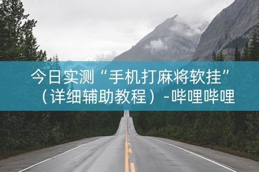 今日实测“手机打麻将软挂”（详细辅助教程）-哔哩哔哩