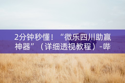 2分钟秒懂！“微乐四川助赢神器”（详细透视教程）-哔哩哔哩