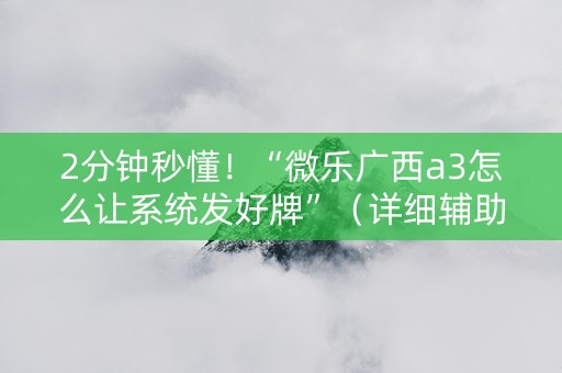 2分钟秒懂！“微乐广西a3怎么让系统发好牌”（详细辅助教程）-哔哩哔哩