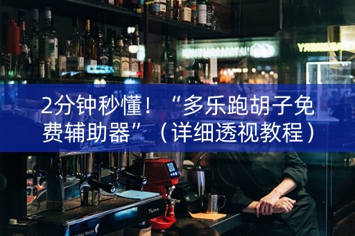 2分钟秒懂！“多乐跑胡子免费辅助器”（详细透视教程）-哔哩哔哩
