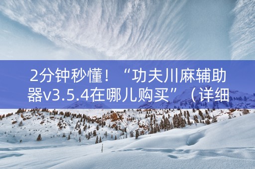 2分钟秒懂！“功夫川麻辅助器v3.5.4在哪儿购买”（详细辅助教程）-哔哩哔哩