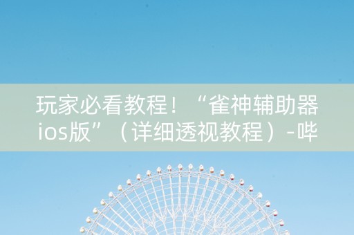 玩家必看教程！“雀神辅助器ios版”（详细透视教程）-哔哩哔哩