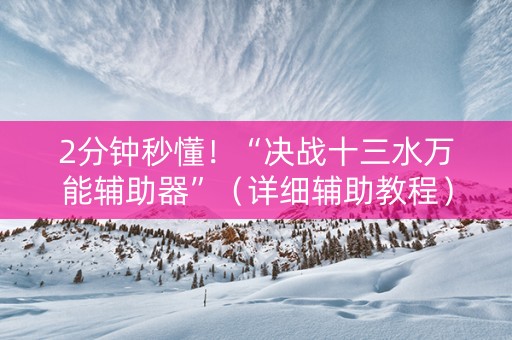 2分钟秒懂！“决战十三水万能辅助器”（详细辅助教程）-哔哩哔哩