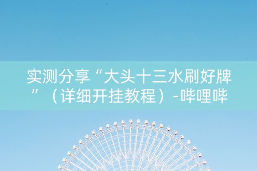 实测分享“大头十三水刷好牌”（详细开挂教程）-哔哩哔哩